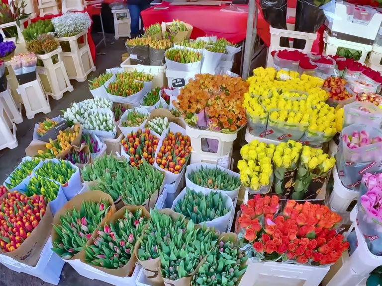 Find tulips and souvenirs at Flower Market Amsterdam
