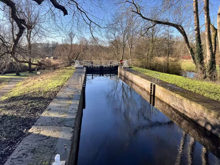 A serene view of the canal in Amsterdamse bos surrounded by trees and green grass reflecting the clear blue sky