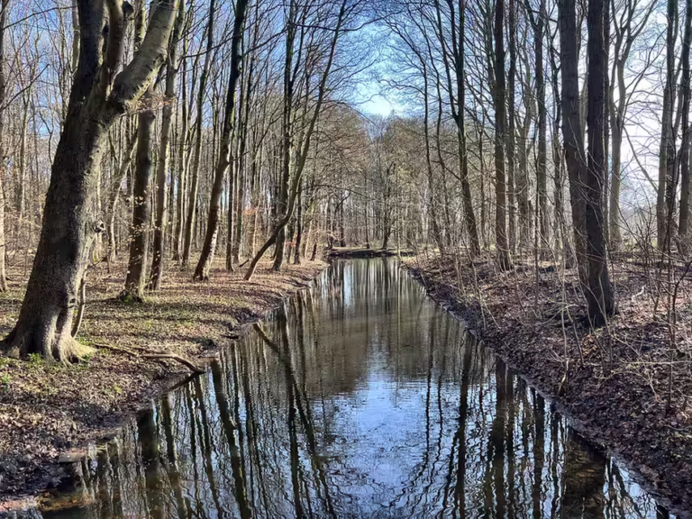 Amsterdamse Bos, explore Europe’s Largest Park