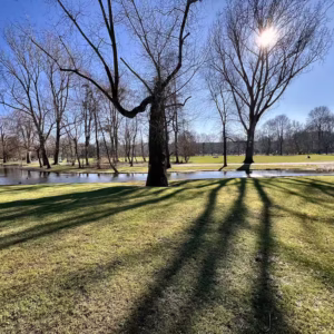 Oosterpark displays a serene scene with bare trees casting long shadows over lush green grass by the water