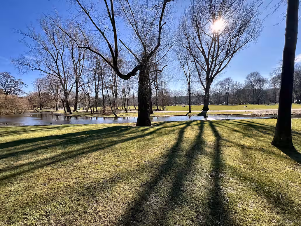 Oosterpark displays a serene scene with bare trees casting long shadows over lush green grass by the water