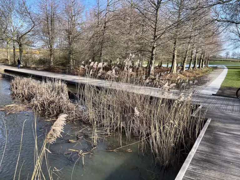 Explore Westerpark Amsterdam like a local