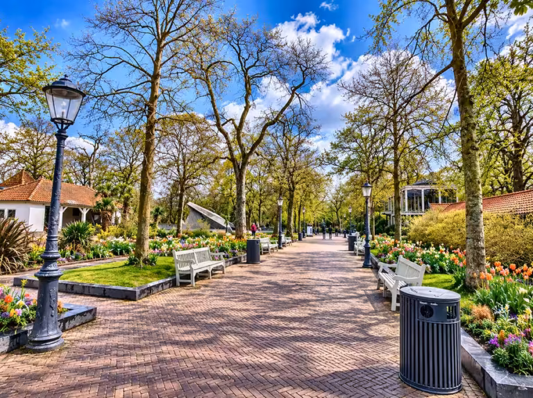 Blumenbeete und Bänke an einem baumbestandenen Weg